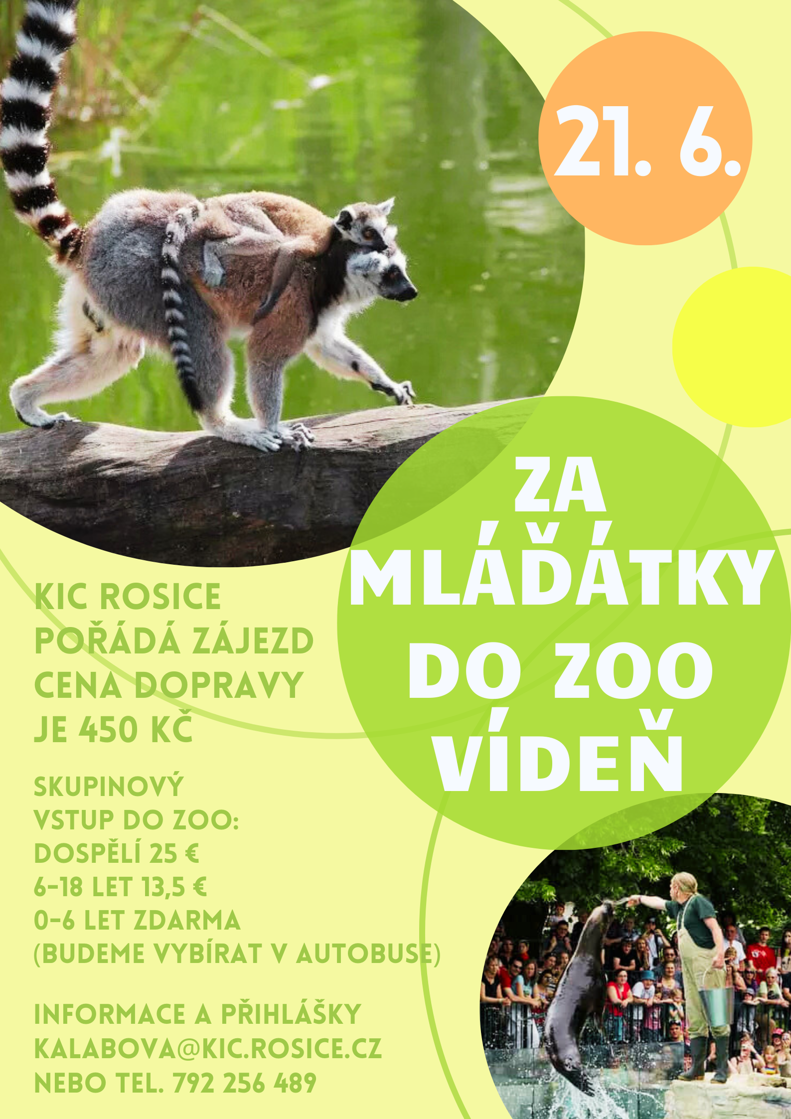 zoo.vídeň 21